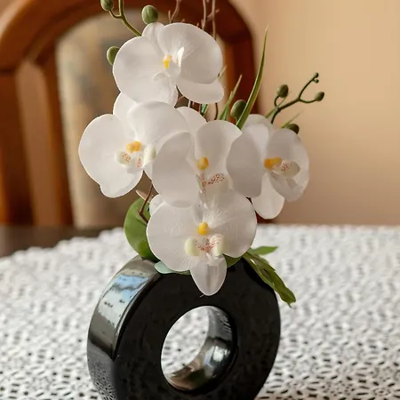 Dlugosza Homely By Bookinghost *