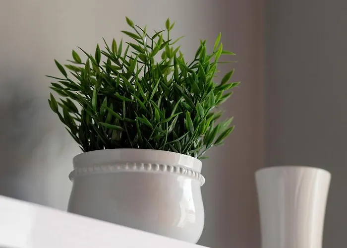 Dlugosza Homely By Bookinghost Apartment *